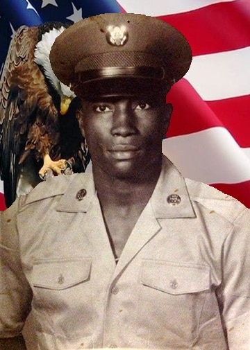 Vietnam War Veteran L.M. Gaines VFC Obituary