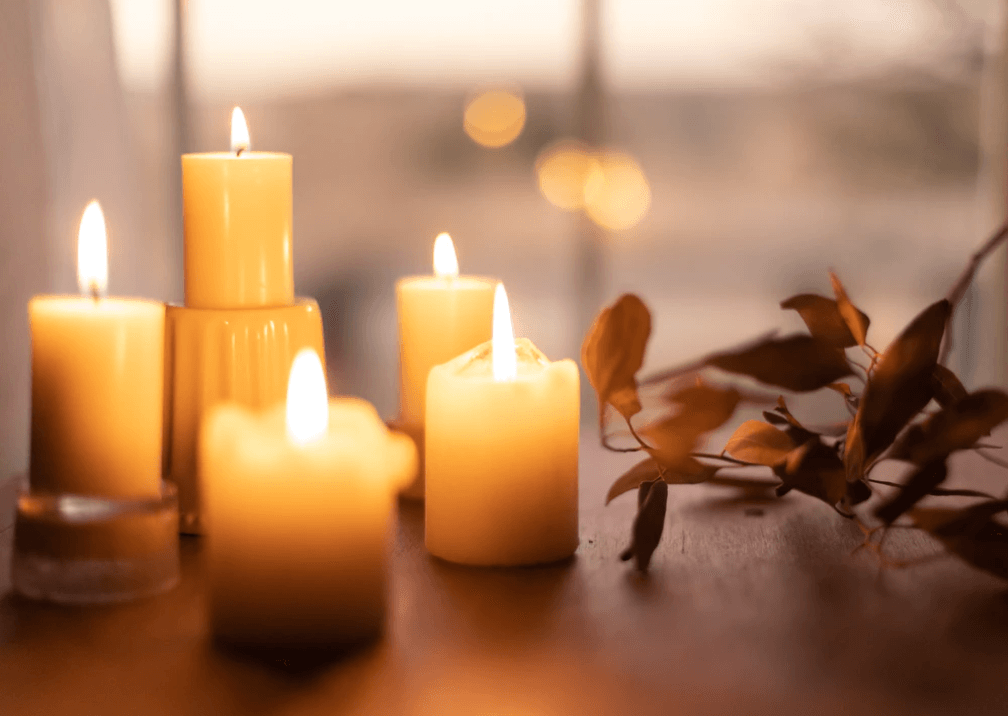 cremation services in Palm Harbor, FL