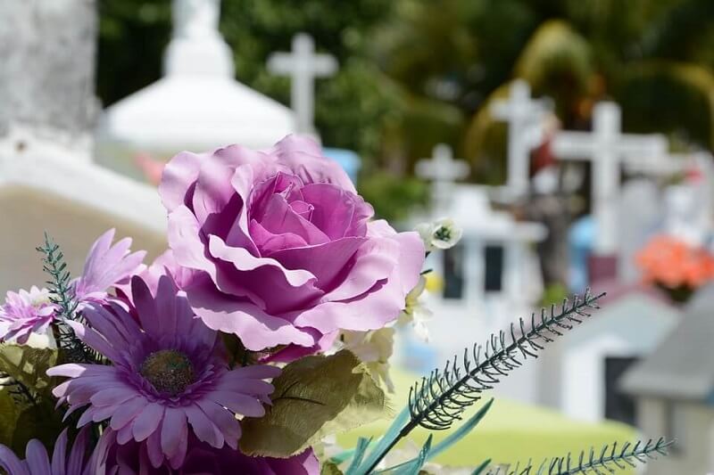 funeral homes in Palm Harbor FL