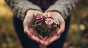 Funeral homes in Palm Harbor, FL