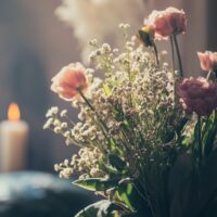 Funeral homes in Palm Harbor, FL1