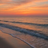 cremation services in Palm Harbor, FL
