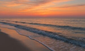 cremation services in Palm Harbor, FL