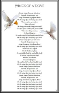 Page 3 1 190x300 Page 3 1 190x300