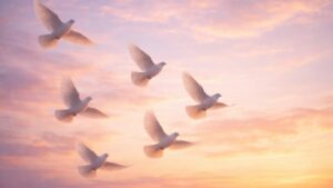 Largo, FL cremation services represented by white doves flying peacefully in a soft sunset sky